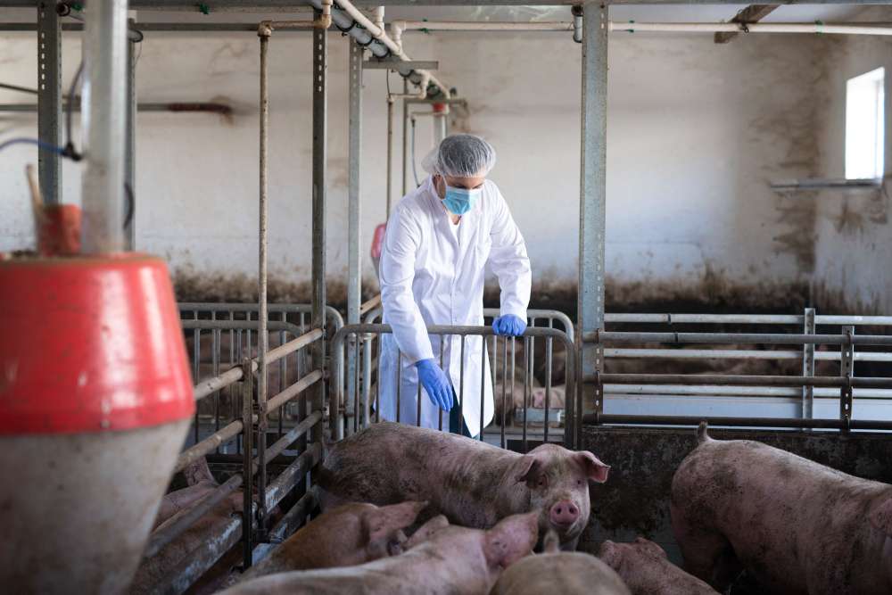 Diferencias entre la desinfección y la esterilización