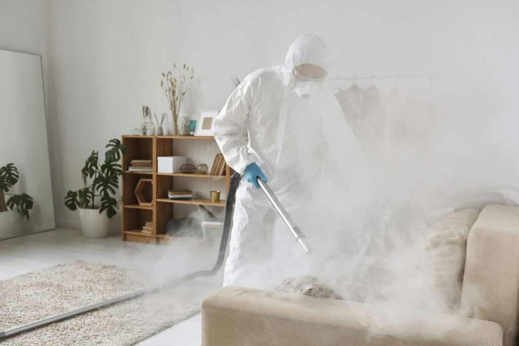 ¿Es peligroso fumigar en casa? Riesgos y recomendaciones imprescindibles