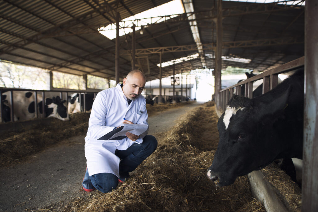 Reducir el uso de antibióticos en ganadería