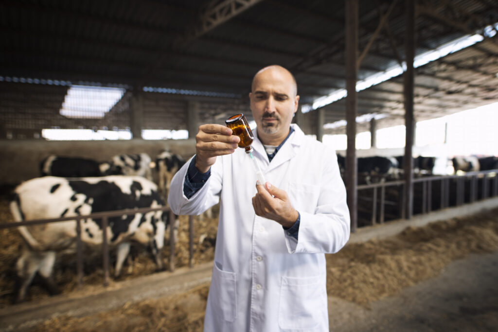 uso de antibióticos en ganadería